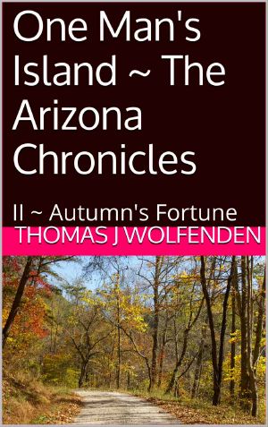 [One Man's Island - Arizona 02] • Autumn's Fortune